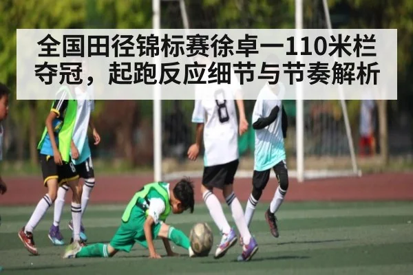 全国田径锦标赛徐卓一110米栏夺冠，起跑反应细节与节奏解析